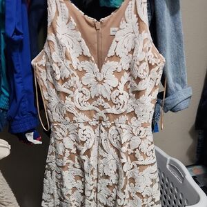 Dress The POPULATION Cream and Tan Lace Mini Dress